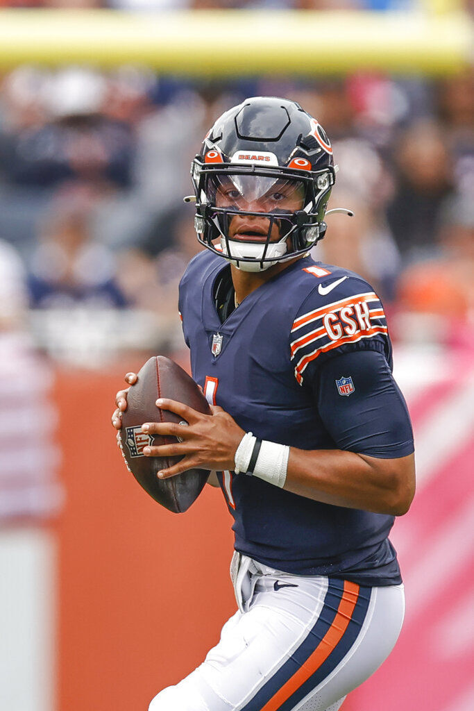 Lions Bears Football